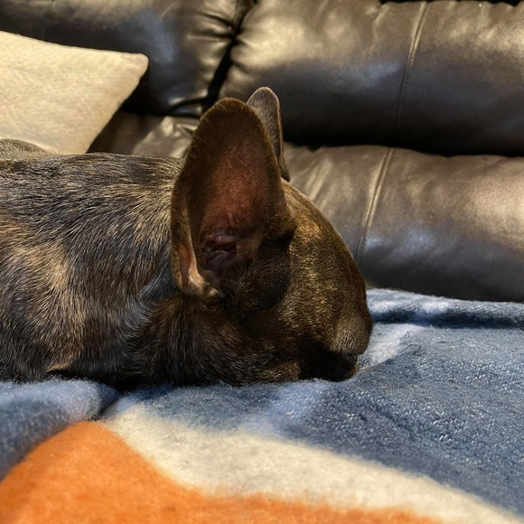 Profile Picture of John Hemmeter (@jhemmeter) on Poshmark