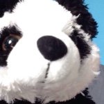 Profile Picture of My Name Is Jeff (@peaked_in_hs_rob_lowe_) on Instagram