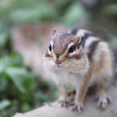 Profile Picture of Evan.Thrailkill (@evetmsl3thi) on Twitter