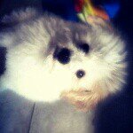 Profile Picture of ♡Janine♡♥Melissa♥♡Lucy♡♥Clauds (@tracy6541) on Instagram