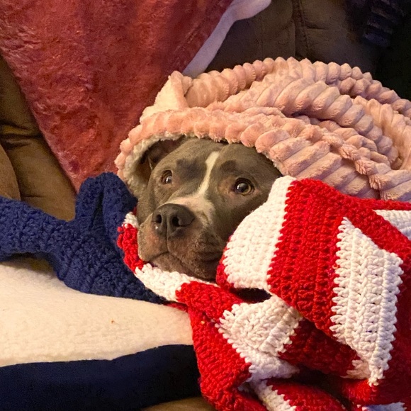 Profile Picture of Travis Snelling (@sf49ers294) on Poshmark