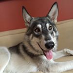 Profile Picture of Kyle Moroney (@daenerysmoroney) on Instagram