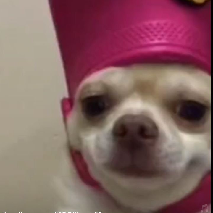 Profile Picture of shawnkress (@.superrunner56) on Tiktok