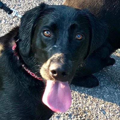 Profile Picture of Stephen Goad (@hvacpipe) on Twitter