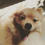 Profile Picture of Eric Rebello (@rebelloeric) on Instagram