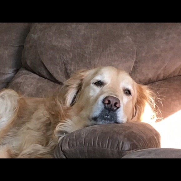 Profile Picture of Ben Laramy (@benlaramy) on Poshmark