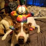 Profile Picture of James Szewczyk (@swooze78) on Instagram