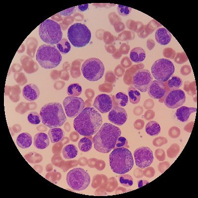 Profile Picture of Gary Stocker (@mls2030) on Twitter