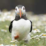 Profile Picture of Andrew Weaver (@andymicweaves) on Flickr