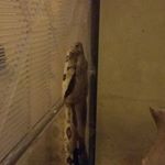 Profile Picture of James Metcalf (@james.metcalf.583) on Instagram