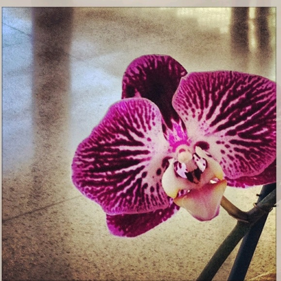 Profile Picture of Sarah Newstead (@sarahnew2) on Poshmark