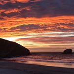 Steven Ward - Instagram Profile Picture of Steven Ward (@wedgeward7119) on Instagram