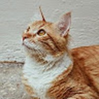 Lorena Osorio - Quora Profile Picture of Lorena Osorio (@lorena-osorio-16) on Quora