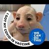 Profile Picture of frankfournier630 (@@frankfournier630) on Tiktok
