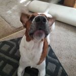 Profile Picture of Chad Peck (@chad.peck.940) on Instagram