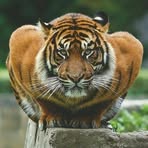 Profile Picture of Michał Husakowski (@puh.marex) on Facebook