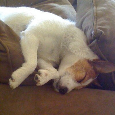 Profile Picture of Kevin C Jans (@kevincjans) on Twitter