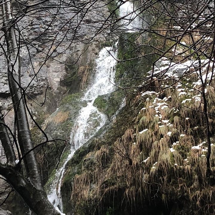 Profile Picture of Tomor Berisha (@tomorberisha0) on Tiktok