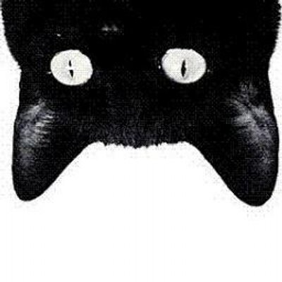 Profile Picture of Joshua Montiel (@MontielZaval) on Twitter