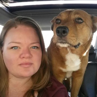 Profile Picture of Amanda Andrae (@AmandaAndrae) on Twitter