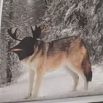 Profile Picture of Brandon Matson (@brandon.matson.16) on Instagram