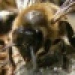 Profile Picture of Peter Vande Moortele (@vande.moortele.peter) on Instagram