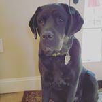 Profile Picture of Christopher Richards (@illegibleletters) on Instagram