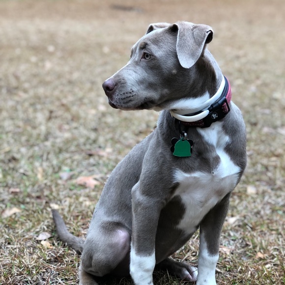 Profile Picture of Kyle Doiron (@kyldrn) on Poshmark