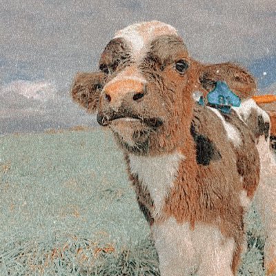 Profile Picture of 𝙢𝙖𝙘𝙮 𝙧𝙞𝙘𝙝𝙖𝙧𝙙𝙨𝙤𝙣 (@anotherbadbleep) on Twitter