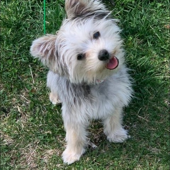 Profile Picture of Jordyn White (@jordynwhite207) on Poshmark