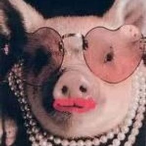 Profile Picture of Mark Wasserman (@312883567) on Myspace