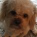 Profile Picture of Jeri Mickeal (@jeri.mickeal.3) on Facebook