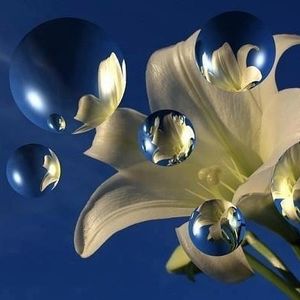 Profile Picture of Sama Sama (@sama.sama) on Myspace