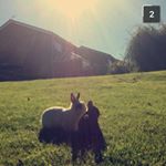 Profile Picture of Grace_sheppard (@grace_sheppard03) on Instagram