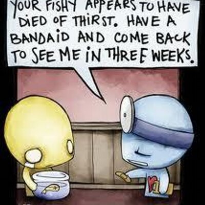 Profile Picture of Kareembarker (@kareembarker1) on Twitter