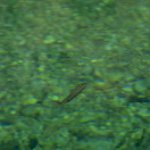 Profile Picture of Veronica (@davison.39178) on Instagram