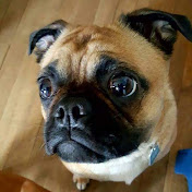 Profile Picture of Brett Anthony (@brettandrewanthony) on Youtube