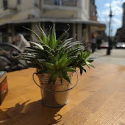 Profile Picture of Valentin Stoyanov (@valentinstoyanov9390) on Youtube