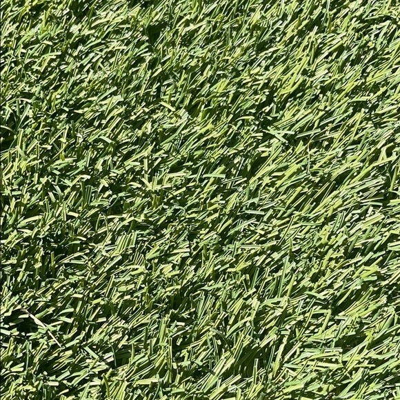 Profile Picture of Stacy Herron (@smherron) on Poshmark