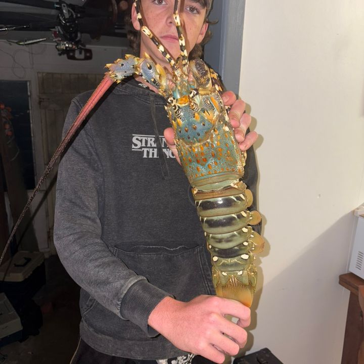 marcus - Tiktok Profile Picture of marcus (@macus2200) on Tiktok