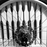 Profile Picture of Carl van der Felge (@carlvanderfelge) on Instagram