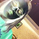 Profile Picture of laura (@michalowski05) on Instagram