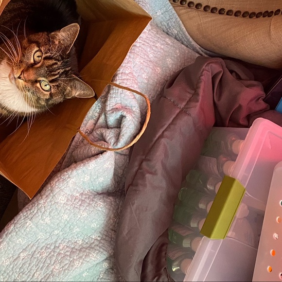 Profile Picture of James Roesener (@testosterome) on Poshmark