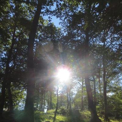 Profile Picture of Wisdom Of Gemmell (@olly_thompson1) on Twitter