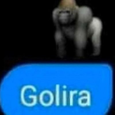 Profile Picture of Andrew Braley (@braley_andrew) on Twitter