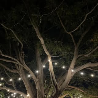 Profile Picture of Alo Santacruz (@alondrasantacruz) on Instagram