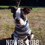 Profile Picture of Anne inzero (@finnywoofwoof) on Instagram