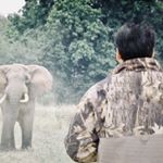 Profile Picture of Harpreet Brar ,Rungwa Safaris (@rungwa_lion) on Instagram