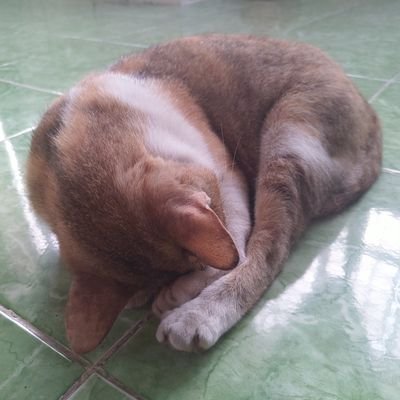 Profile Picture of Trương Oliver (@Utral_Man) on Twitter