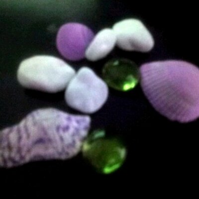 Profile Picture of Laura Pedersen (@laurapedersen4) on Twitter